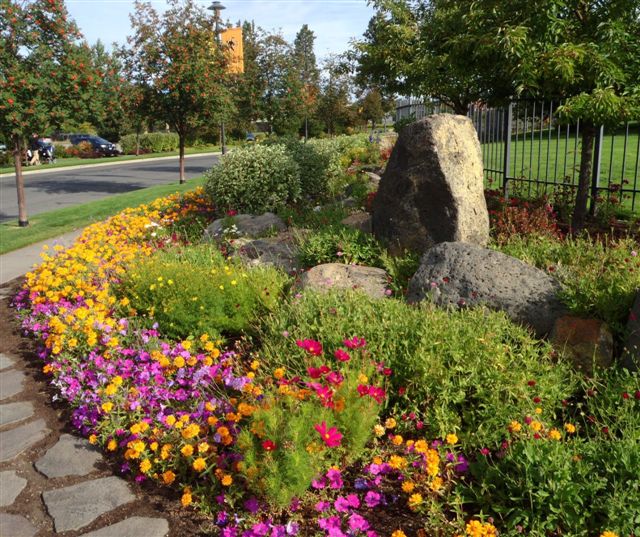 flower garden design & installation seasonal color maintenance