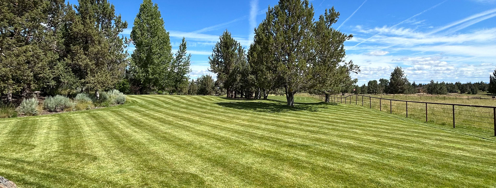 field-turf