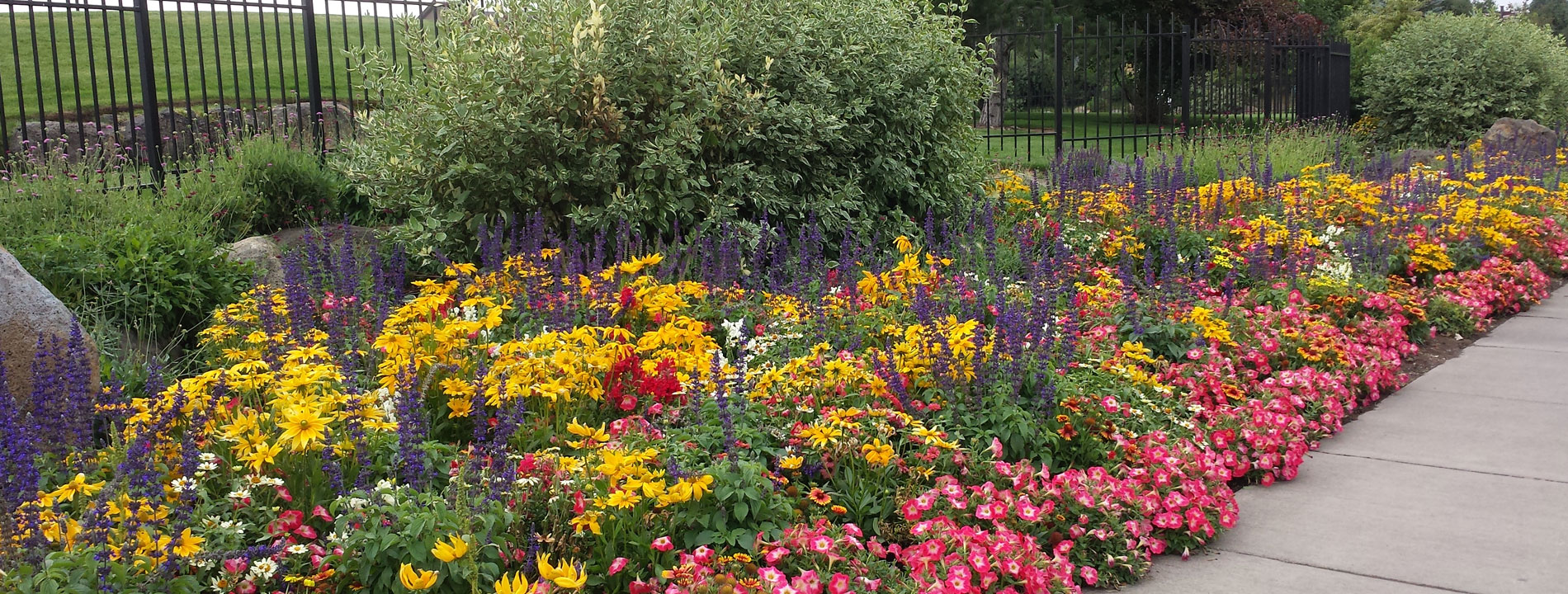 Amphitheater seasonal color