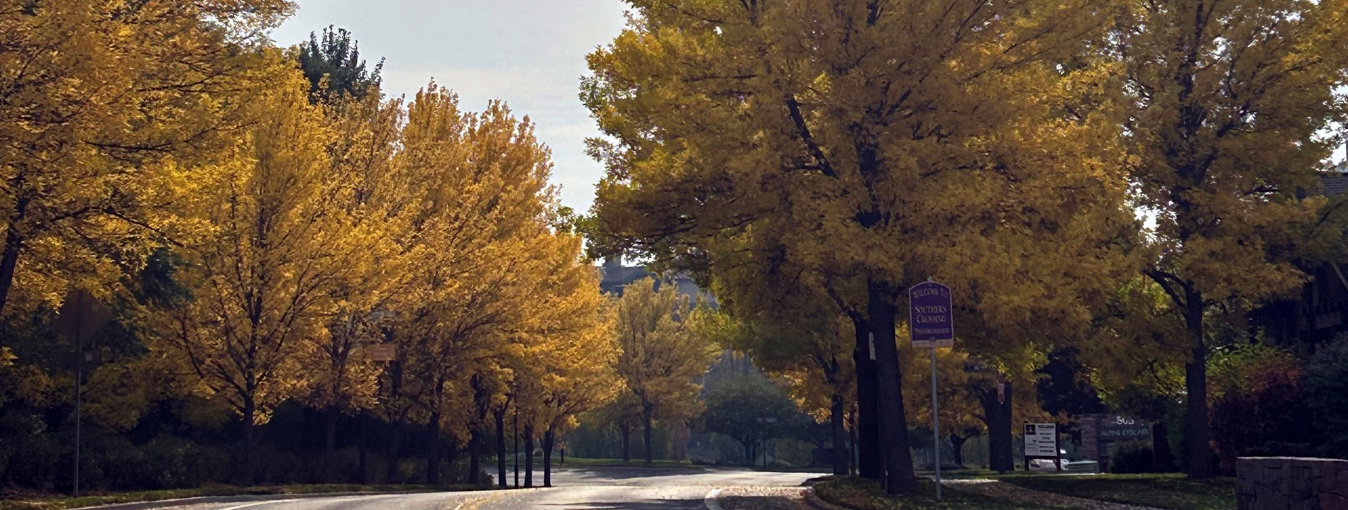 arbor-maintenance arbor-maintenance