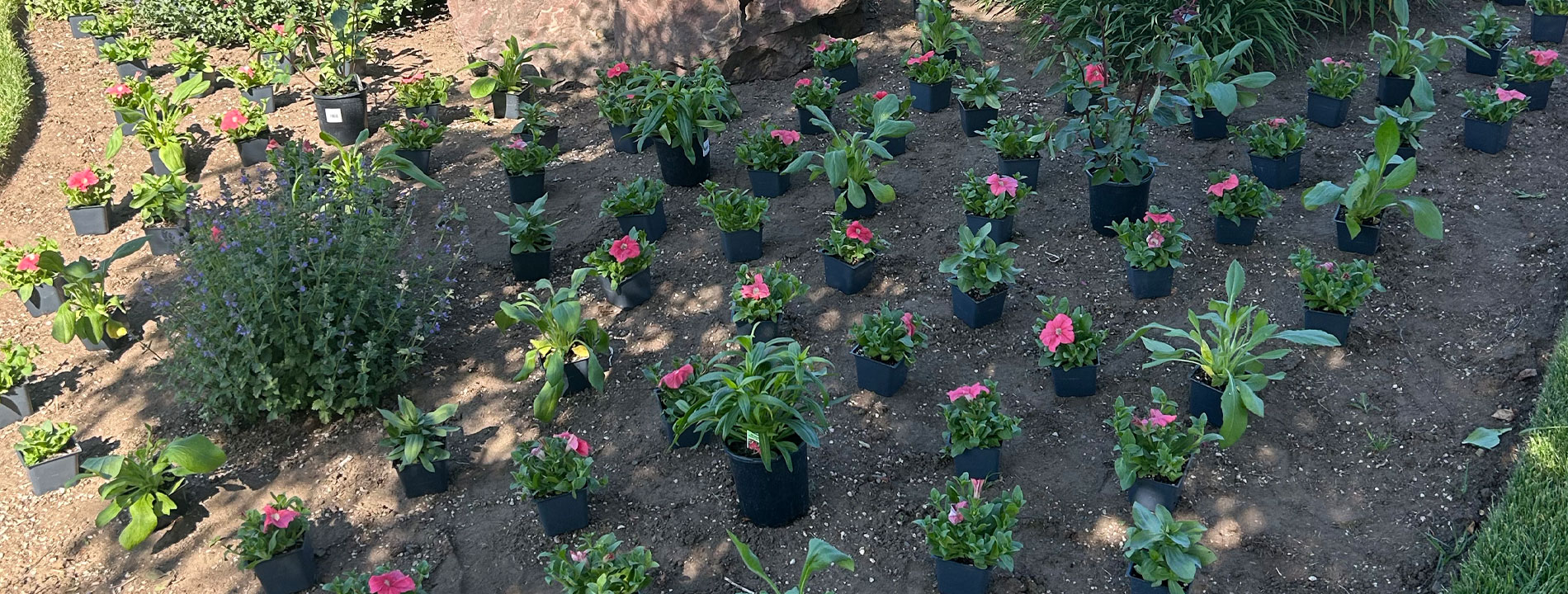 season-color-build season-color-build